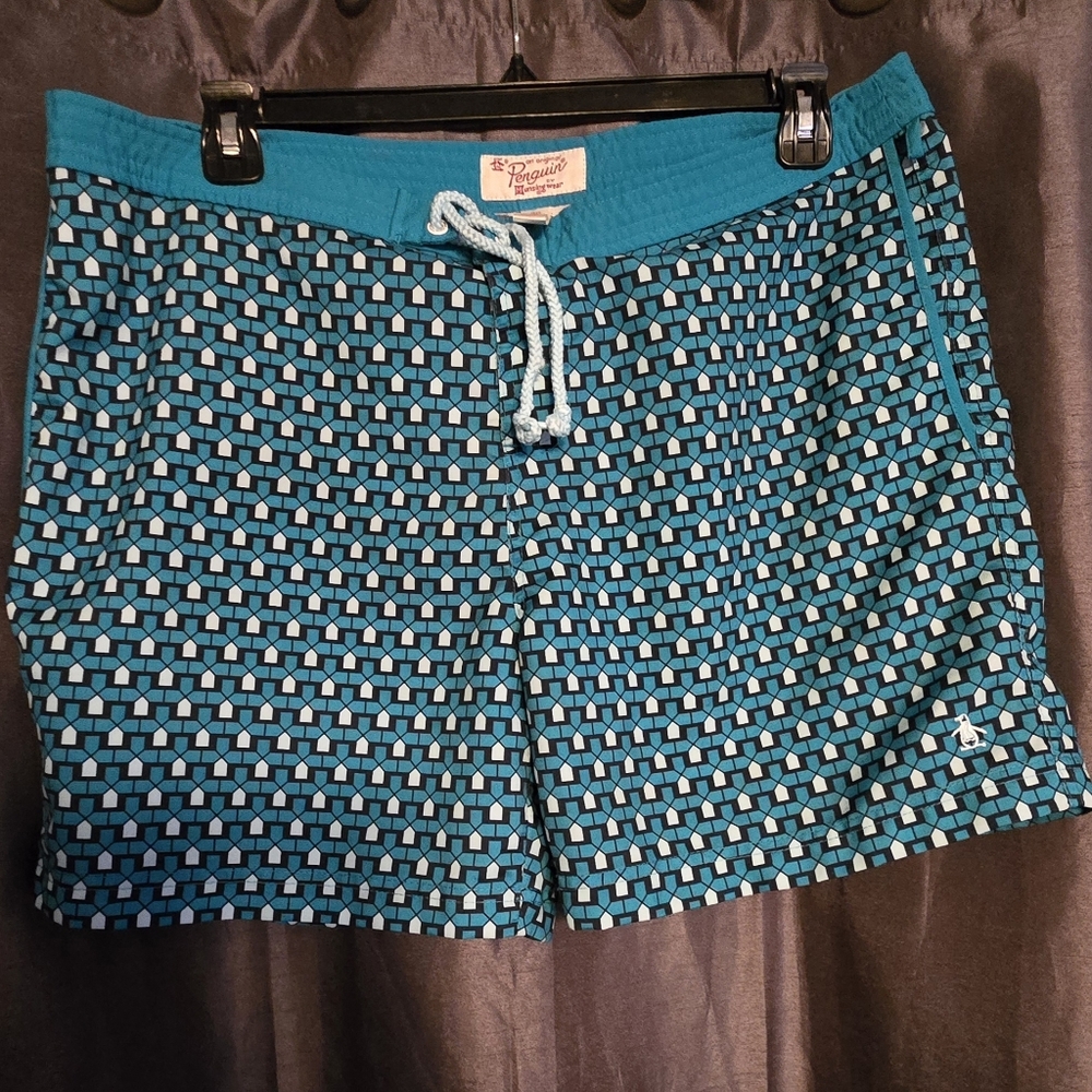Teal Geometric Men's Shorts